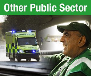 public-sector-other
