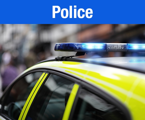 public-sector-police