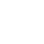 UN logo white
