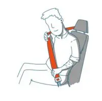 seat belts - driving for work policies