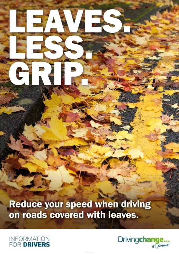 VDT – Autumn Winter – Grip